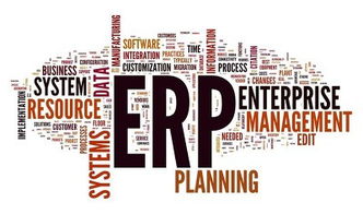 ERP系统管理软件定制开发选择标准